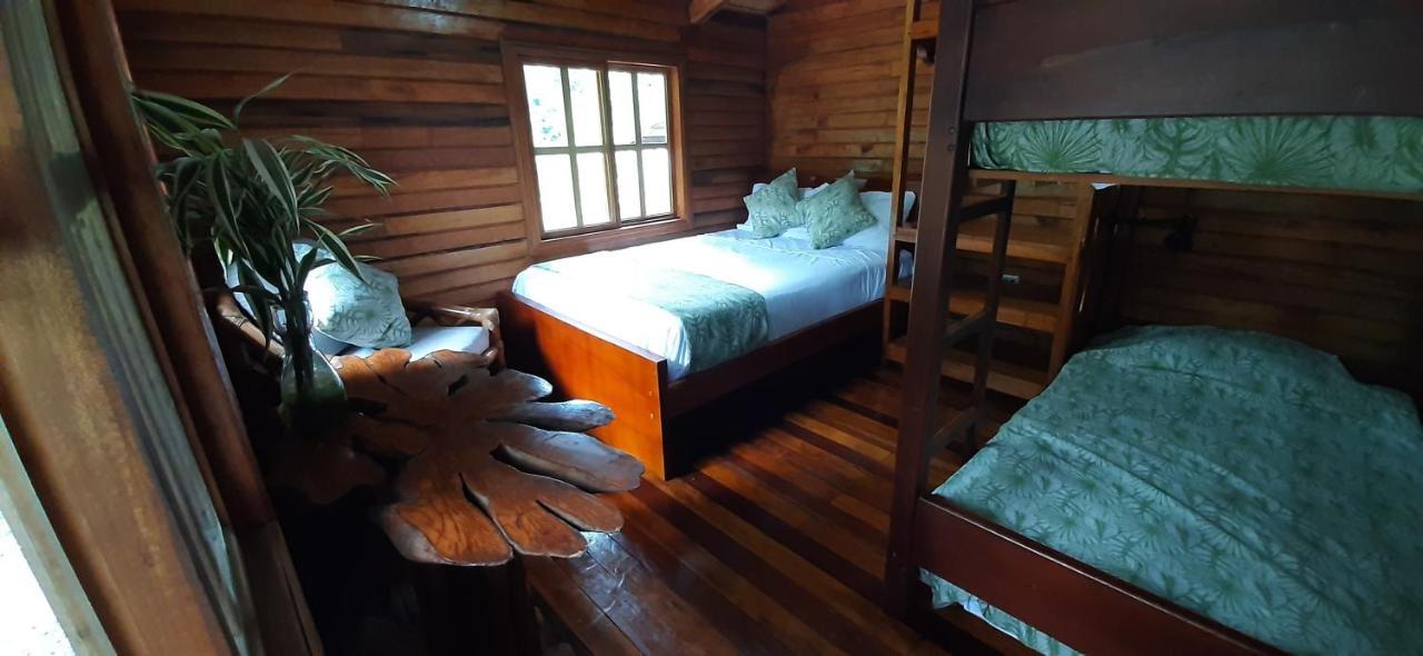 بويو Guest House Great Hostels Amazon المظهر الخارجي الصورة